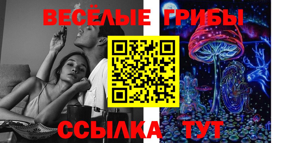 Псилоцибиновые грибы прущие грибы Ирбит
